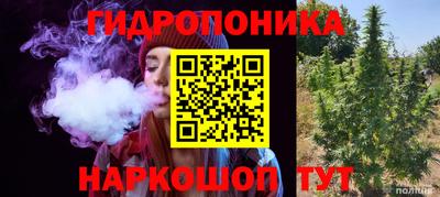 мдпв Можга