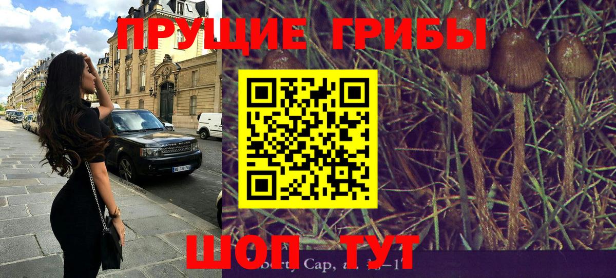 Ялуторовск  Галлюциногенные грибы Psilocybe  что такое наркотик  Вход с VPN 